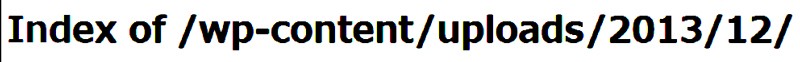 ワードプレス消滅後に表示されるINDEX OF.....の文字