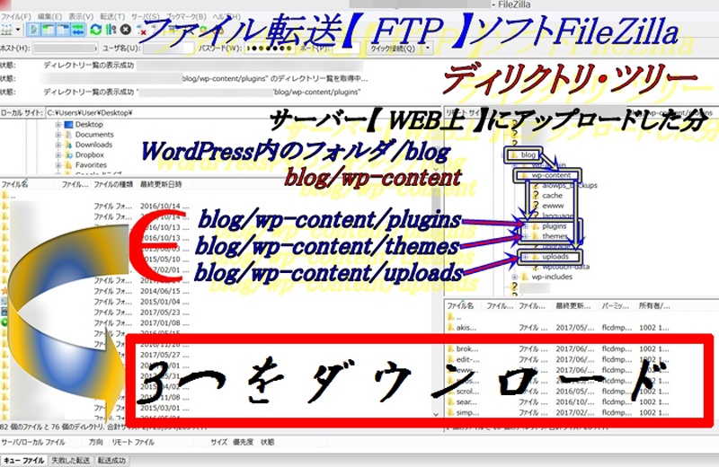 WP-content3つダウンロード